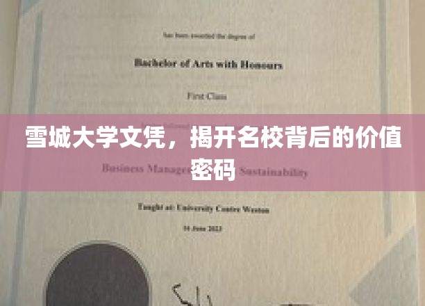 雪城大学文凭背后的名校价值解码，揭秘精英之路