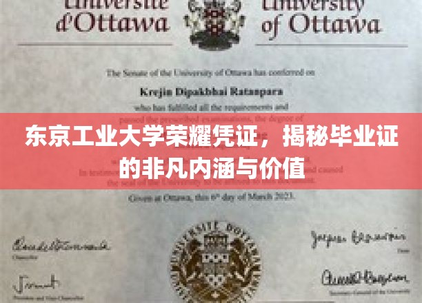 东京工大荣耀证章，解码毕业证的独特魅力与深远意义