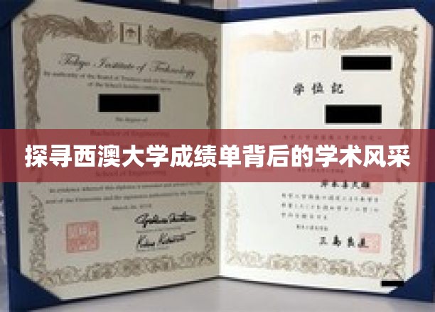 探寻西澳大学成绩单背后的学术风采
