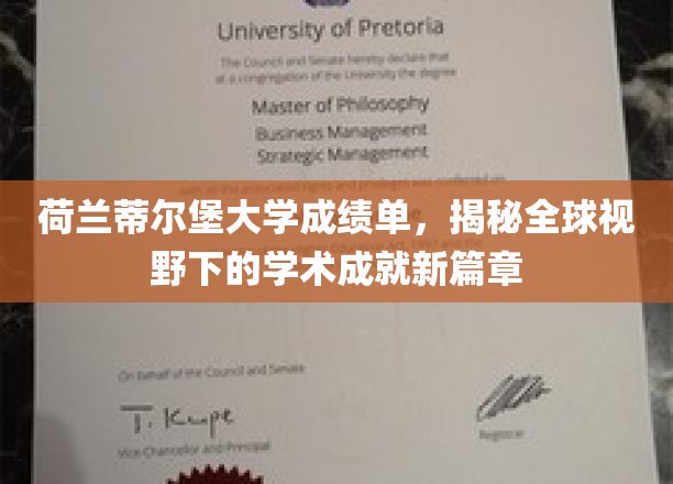 荷兰蒂尔堡大学新里程，全球视角下的卓越学术成就展新颜