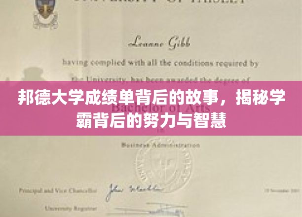 探寻邦德学霸秘籍，成绩单背后的汗水与智慧之光