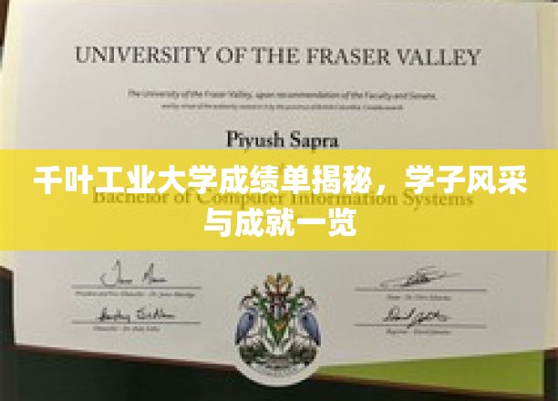 千叶工业大学学子卓越风采，揭秘辉煌成绩单背后的成长故事