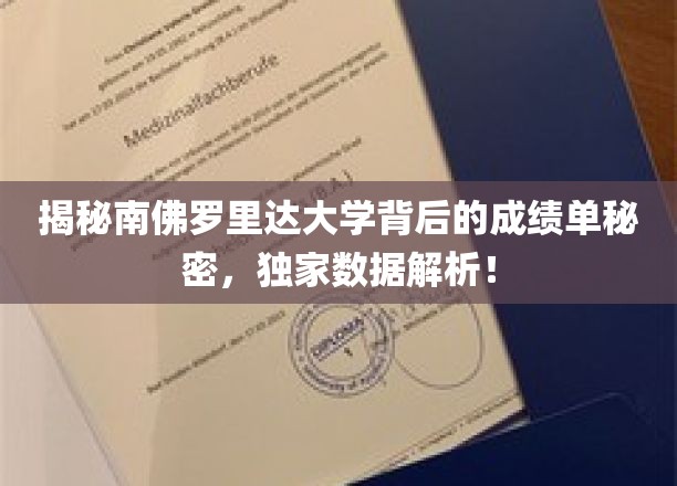 揭秘南佛罗里达大学背后的成绩单秘密，独家数据解析！