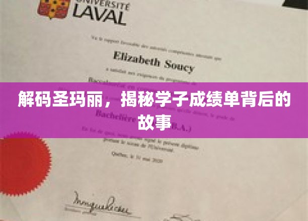解码圣玛丽，探寻学子成绩单背后的故事