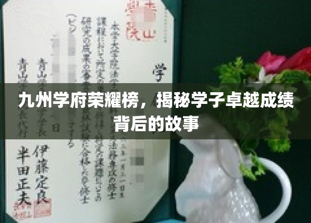 九州学府风云录，揭秘学霸传奇背后的奋斗足迹