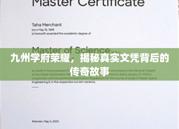 文凭传奇，九州学府背后的荣耀之谜