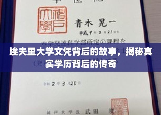 埃夫里大学文凭，揭开学历传奇背后的不凡篇章