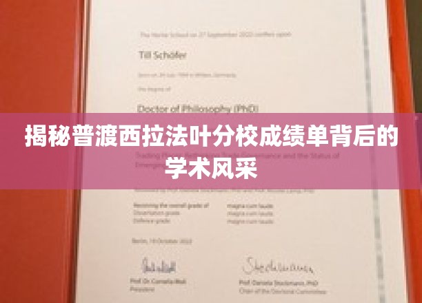 揭秘普渡西拉法叶分校成绩单背后的学术风采