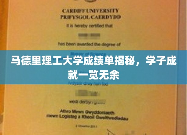 解码马德里理工大学学子荣耀，成绩单上的璀璨成就