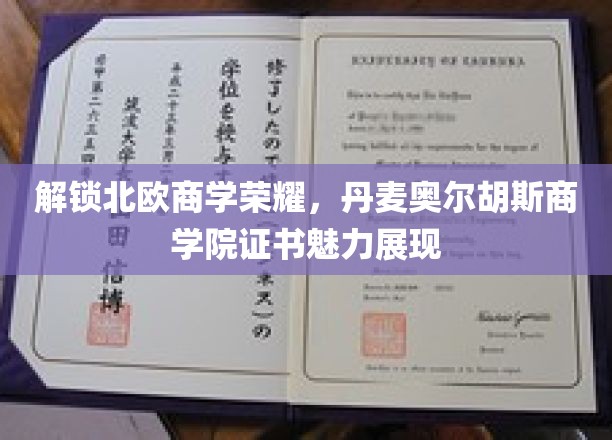 北欧商学之光，奥尔胡斯商学院证书引领职场新篇章