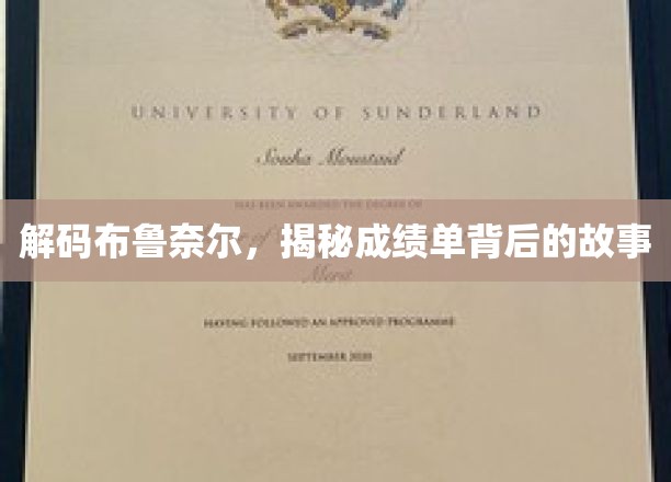 解码布鲁奈尔，揭秘成绩单背后的故事
