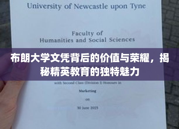布朗大学文凭的光环，解码精英教育的非凡吸引力