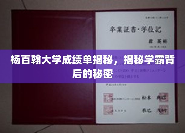 杨百翰学霸背后的惊人成绩单大揭秘！