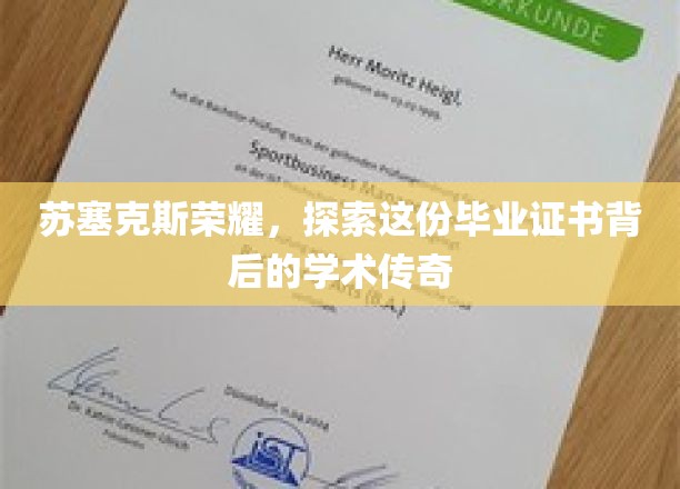 苏塞克斯荣耀，探索这份毕业证书背后的学术传奇