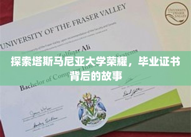 解锁塔斯马尼亚大学荣耀之谜，毕业证书背后的传奇故事