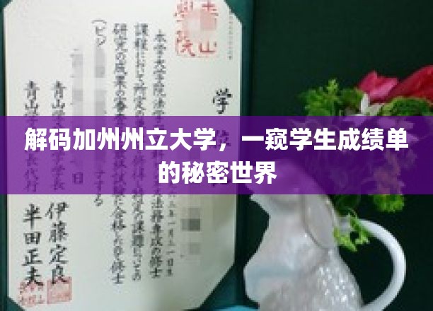 解码加州州立大学，一窥学生成绩单的秘密世界