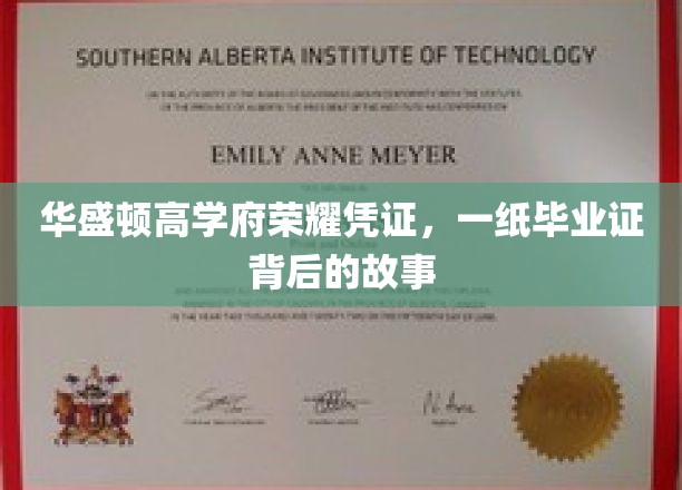 毕业证背后的传奇，华盛顿高学府荣耀之光揭秘