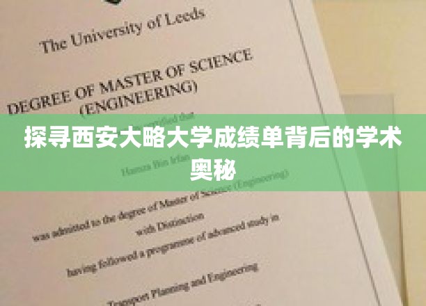 解码西安大略大学成绩单，揭秘学术成就的秘密面纱
