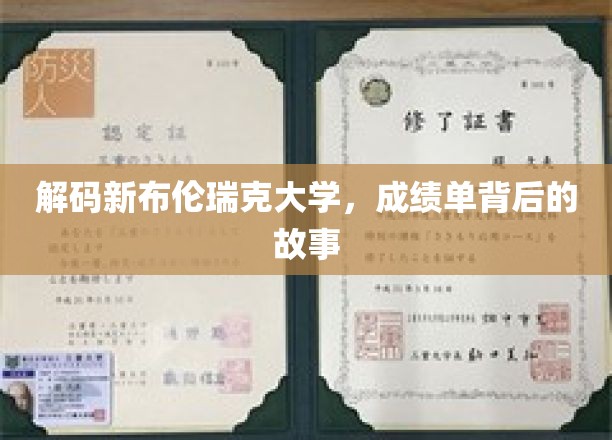 探寻新布伦瑞克大学成绩单背后的精彩篇章