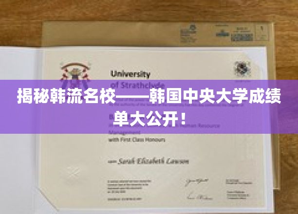 揭秘韩流名校——韩国中央大学成绩单大公开！