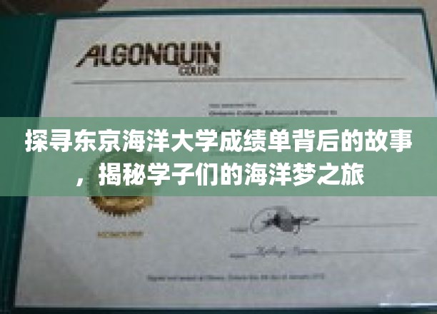 海洋梦想启航，东京海洋大学学子成绩单背后的青春足迹