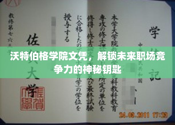 沃特伯格学院文凭，开启职场竞争力的秘密之门