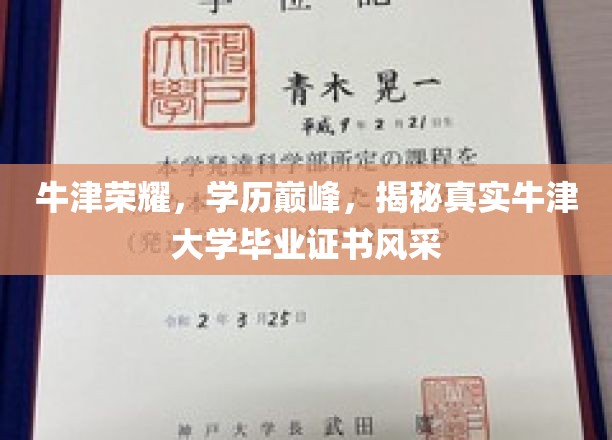 牛津荣耀证照揭秘，一纸证书背后的辉煌历程