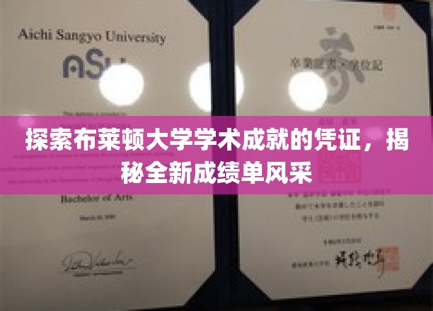 探索布莱顿大学学术成就的凭证，领略全新成绩单风采