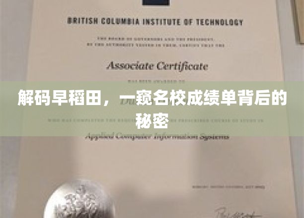 解码早稻田，一窥名校成绩单背后的秘密