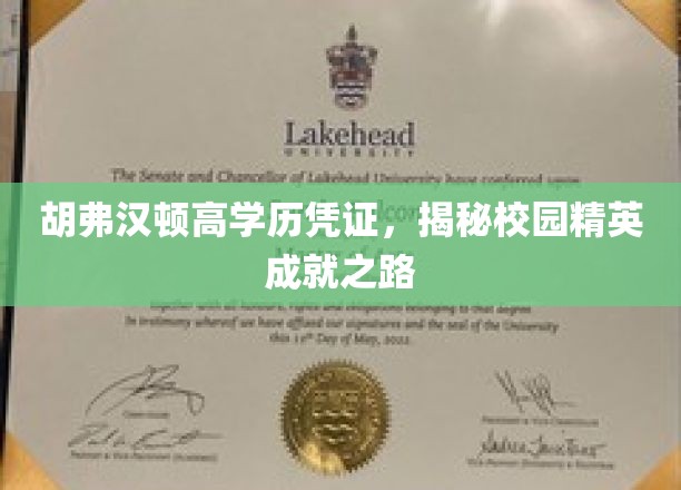 解码胡弗汉顿精英圈，高学历背后的校园成功秘诀