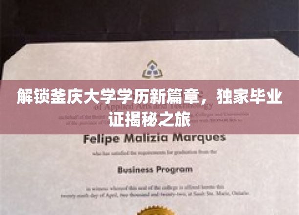 釜庆大学学历新视角，揭秘独特毕业证背后的故事