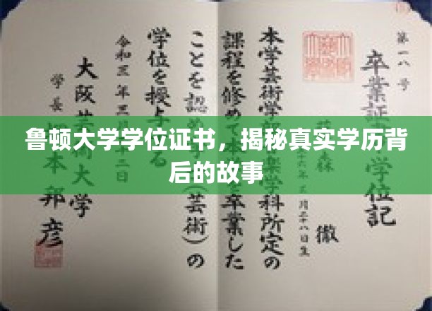鲁顿大学证书之谜，探秘学历背后的真实故事