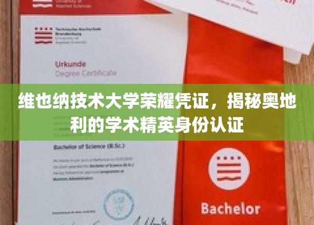 维也纳技术大学荣耀凭证，揭秘奥地利的学术精英身份认证