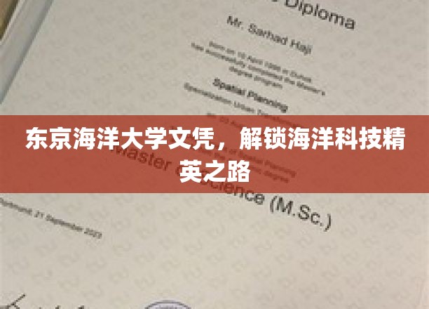 探索海洋科技巅峰，东京海洋大学文凭助你开启精英航程