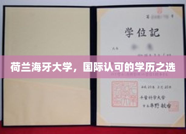 荷兰海牙大学，国际认可的学历之选