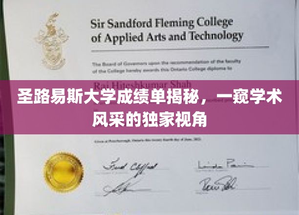 圣路易斯大学成绩单揭秘，一窥学术风采的独家视角