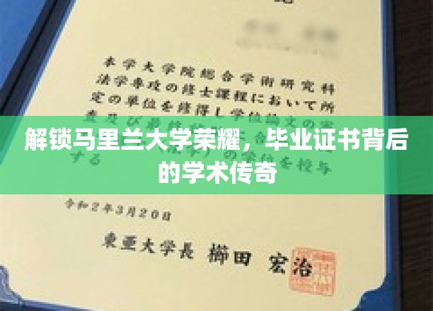 马里兰大学学霸秘籍，探寻毕业证书背后的辉煌故事