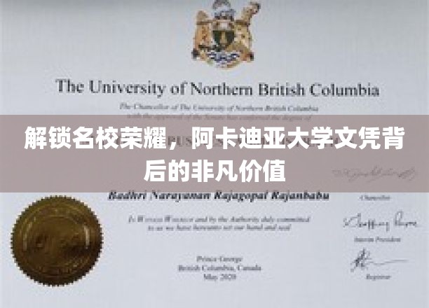 阿卡迪亚大学文凭，揭开名校背后的精英教育密码