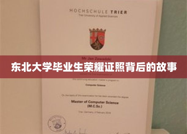 东北学子荣耀之路，揭秘东北大学毕业生证照背后的传奇故事