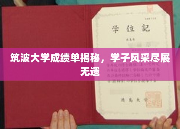 筑波大学成绩单揭秘，学子风采尽展无遗