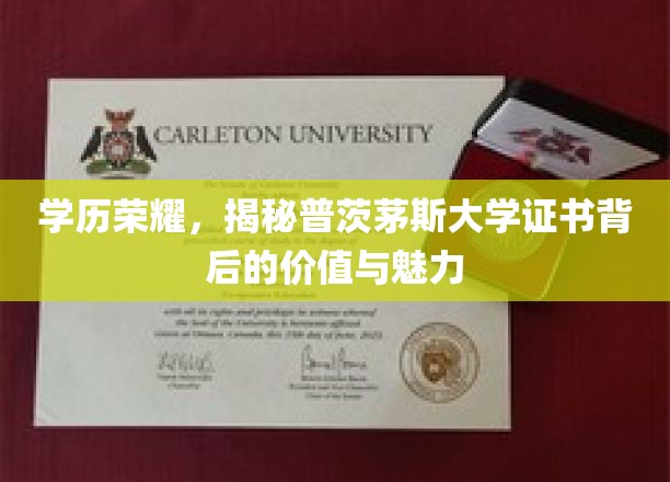 学位之光，普茨茅斯大学证书的非凡价值与迷人风采