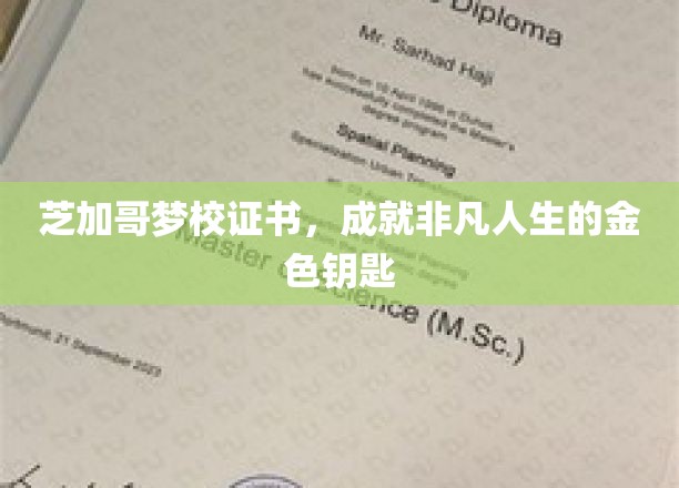 芝加哥梦校证书，成就非凡人生的金色钥匙