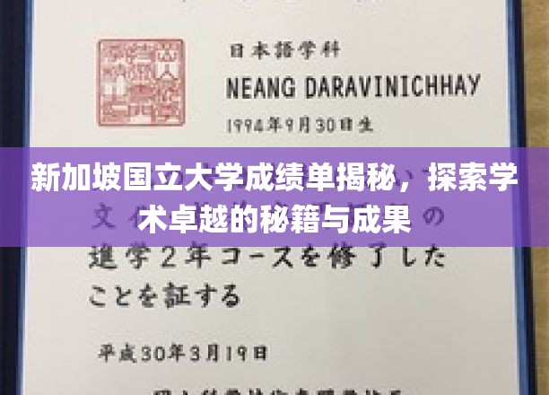解码新加坡国立大学，探索卓越学术的成就密码