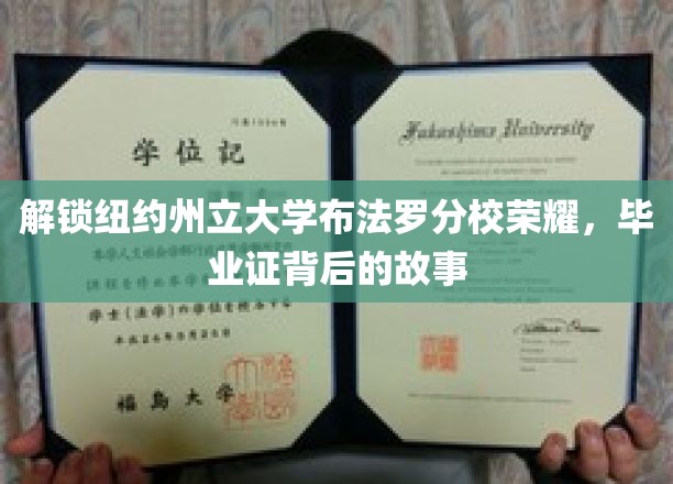 解锁纽约州立大学布法罗分校荣耀，毕业证背后的故事