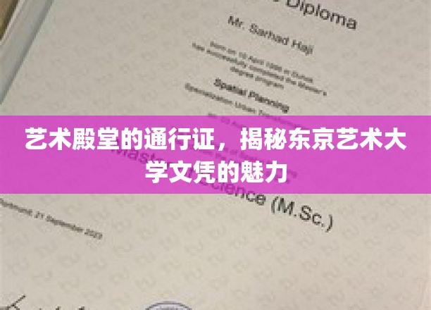 艺术殿堂的通行证，揭秘东京艺术大学文凭的魅力