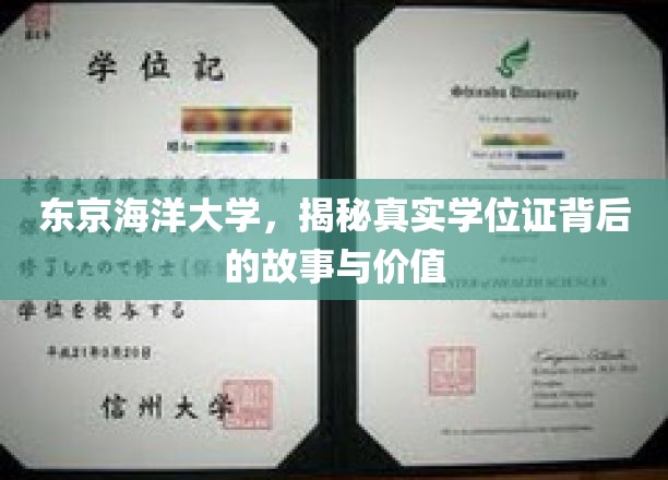 东京海洋大学学位证，探寻背后的传奇与教育价值