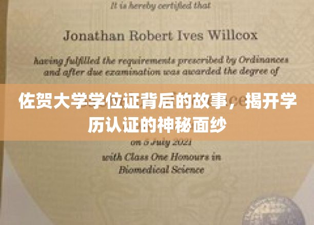 佐贺大学学位证之谜，探寻学历认证背后的真实世界