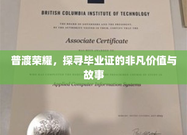 毕业证书背后的荣耀之旅，揭秘非凡价值与感人故事