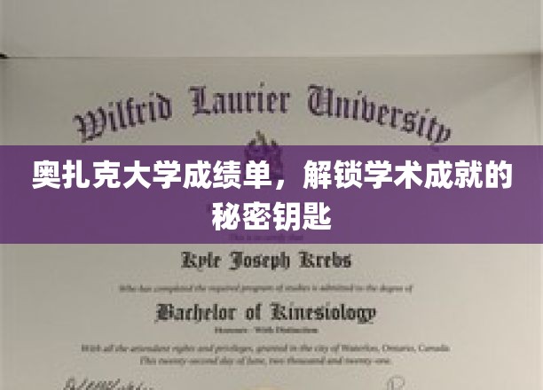 解锁奥扎克大学学术奥秘，成绩单背后的成就密码