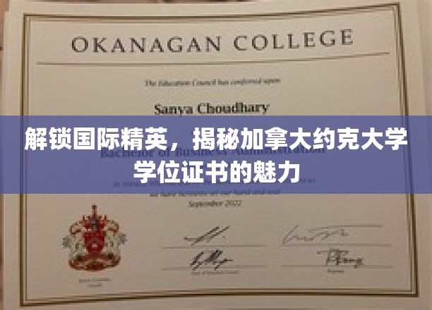 揭开加拿大约克大学学位证书的全球精英吸引力